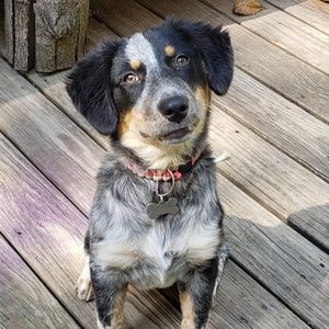 Meet your Posher, Tracy